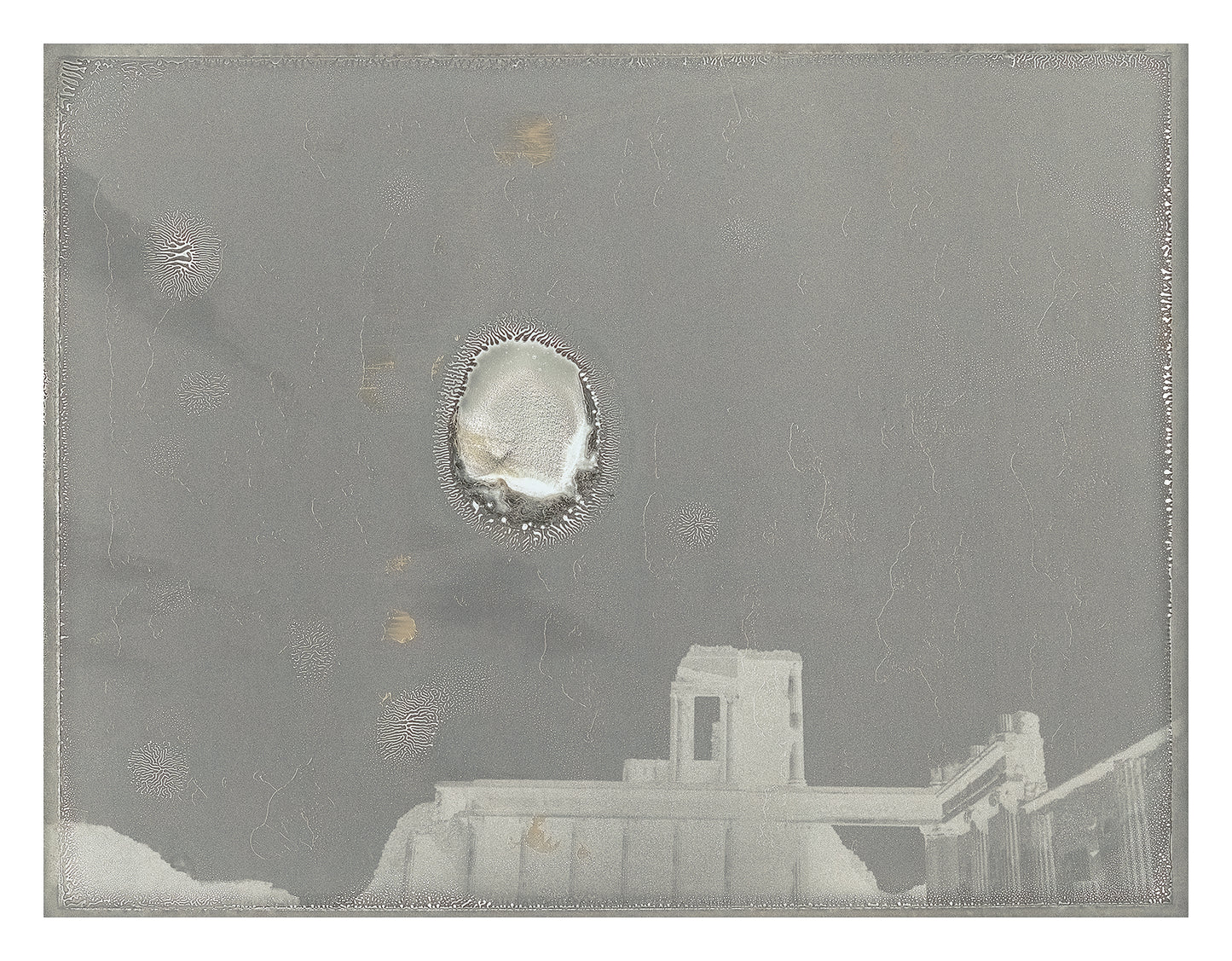 Roots of Heaven Negatif polaroid 7