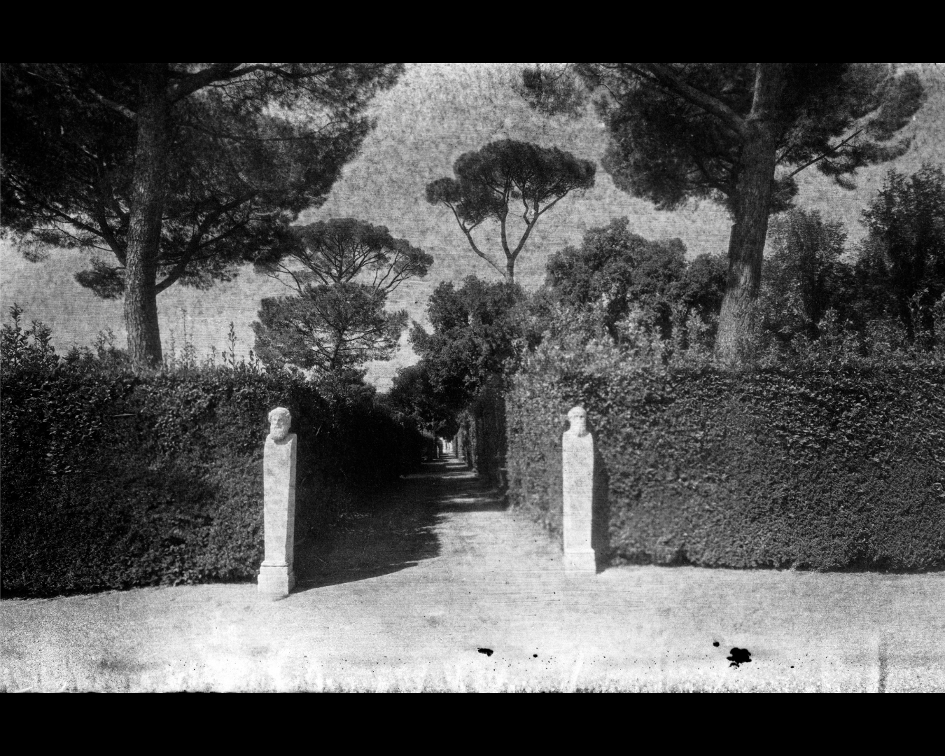 Shades of Rome VILLA MEDICI 2
