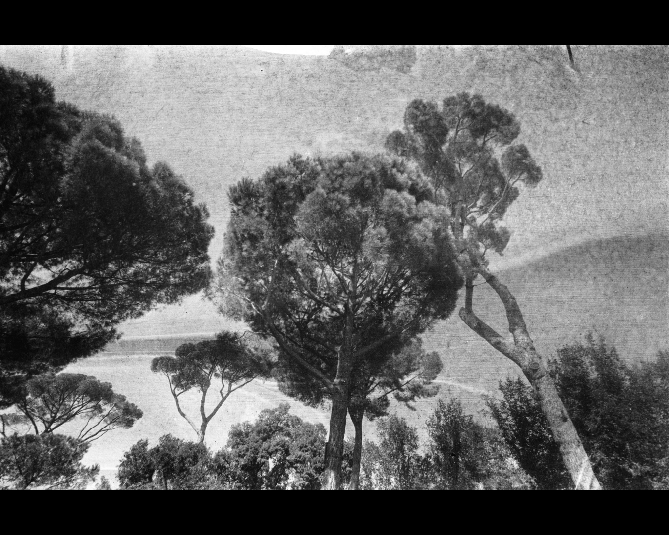 Shades of Rome VILLA MEDICI 3