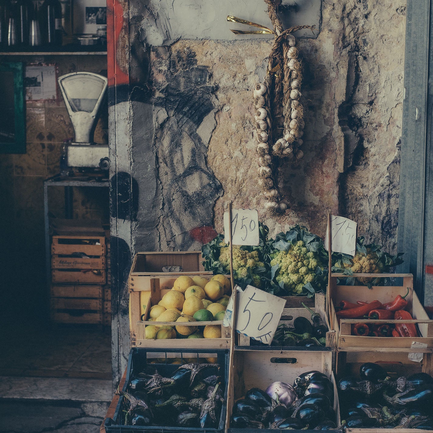 PALERMO 18