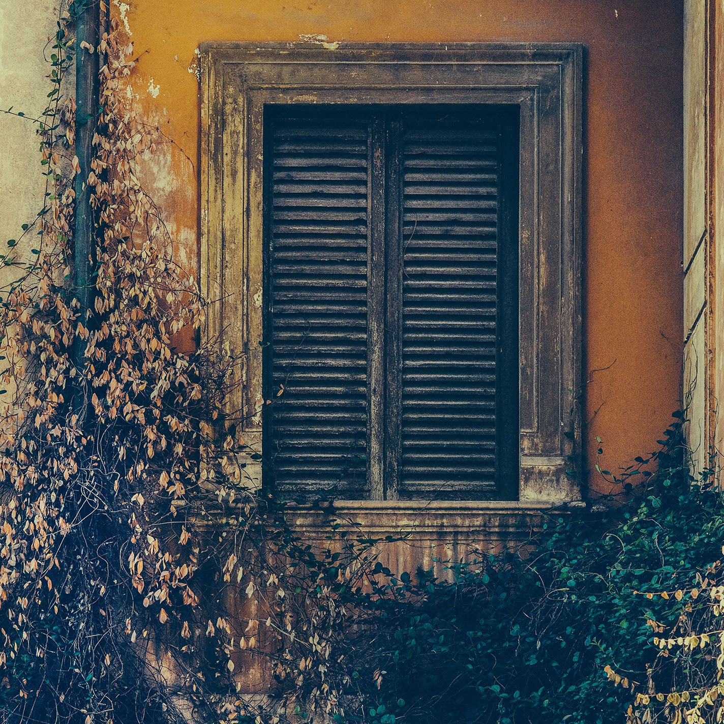 ROMA 63