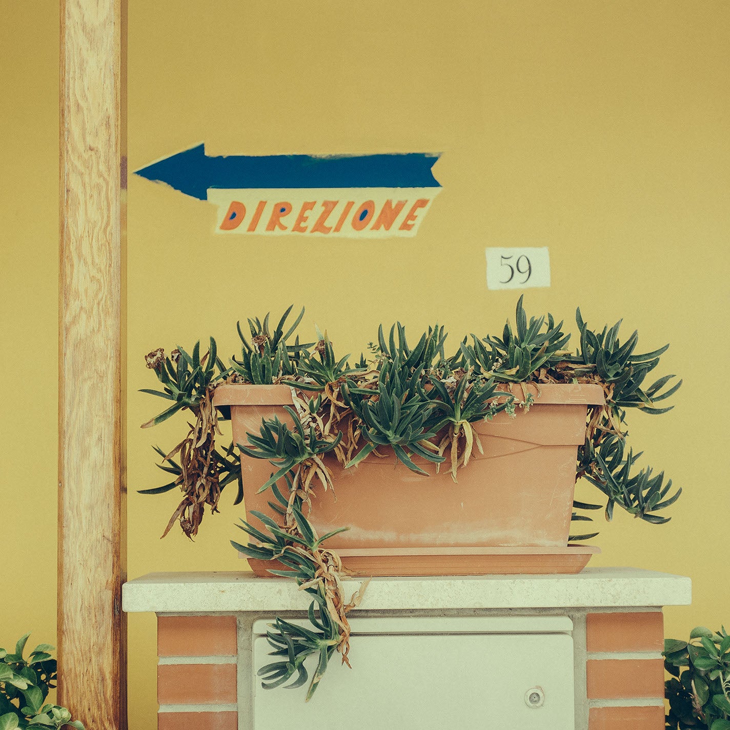 VERSILIA 30