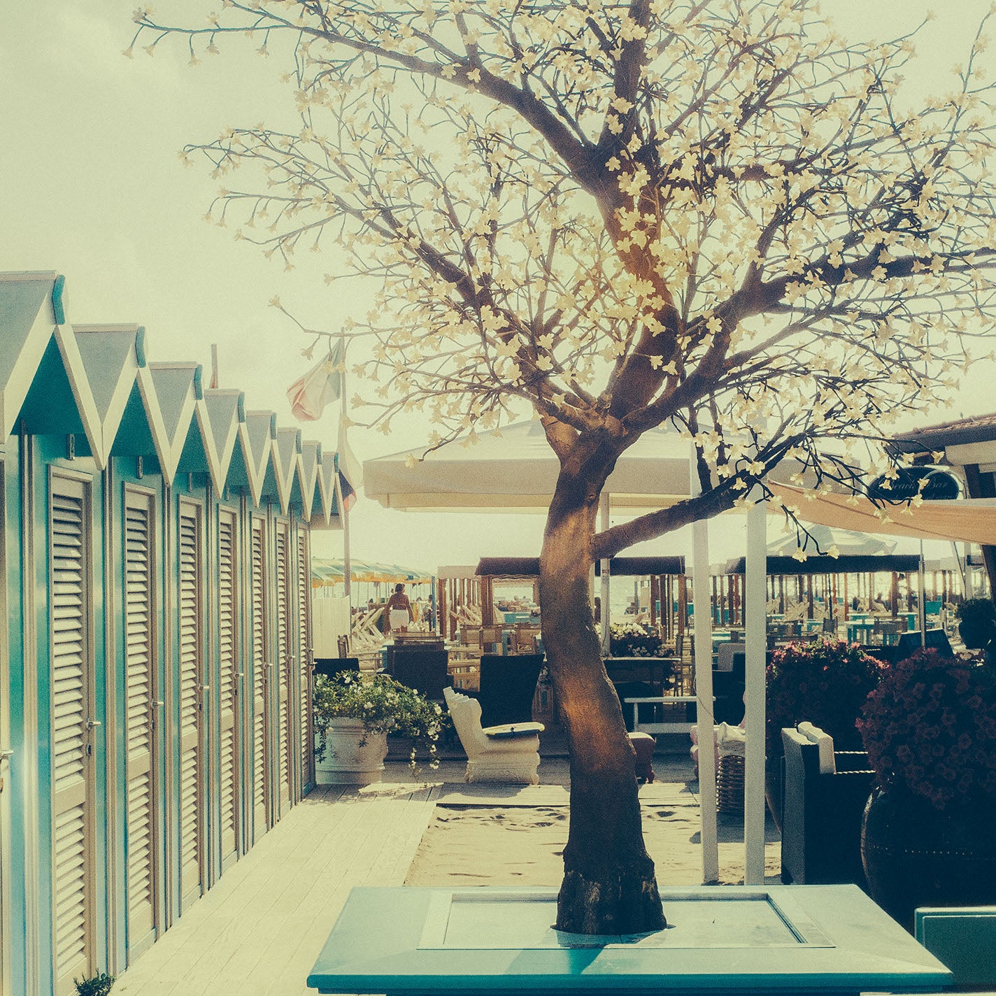 VERSILIA 32