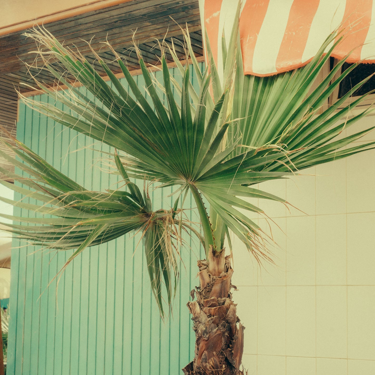 VERSILIA 34