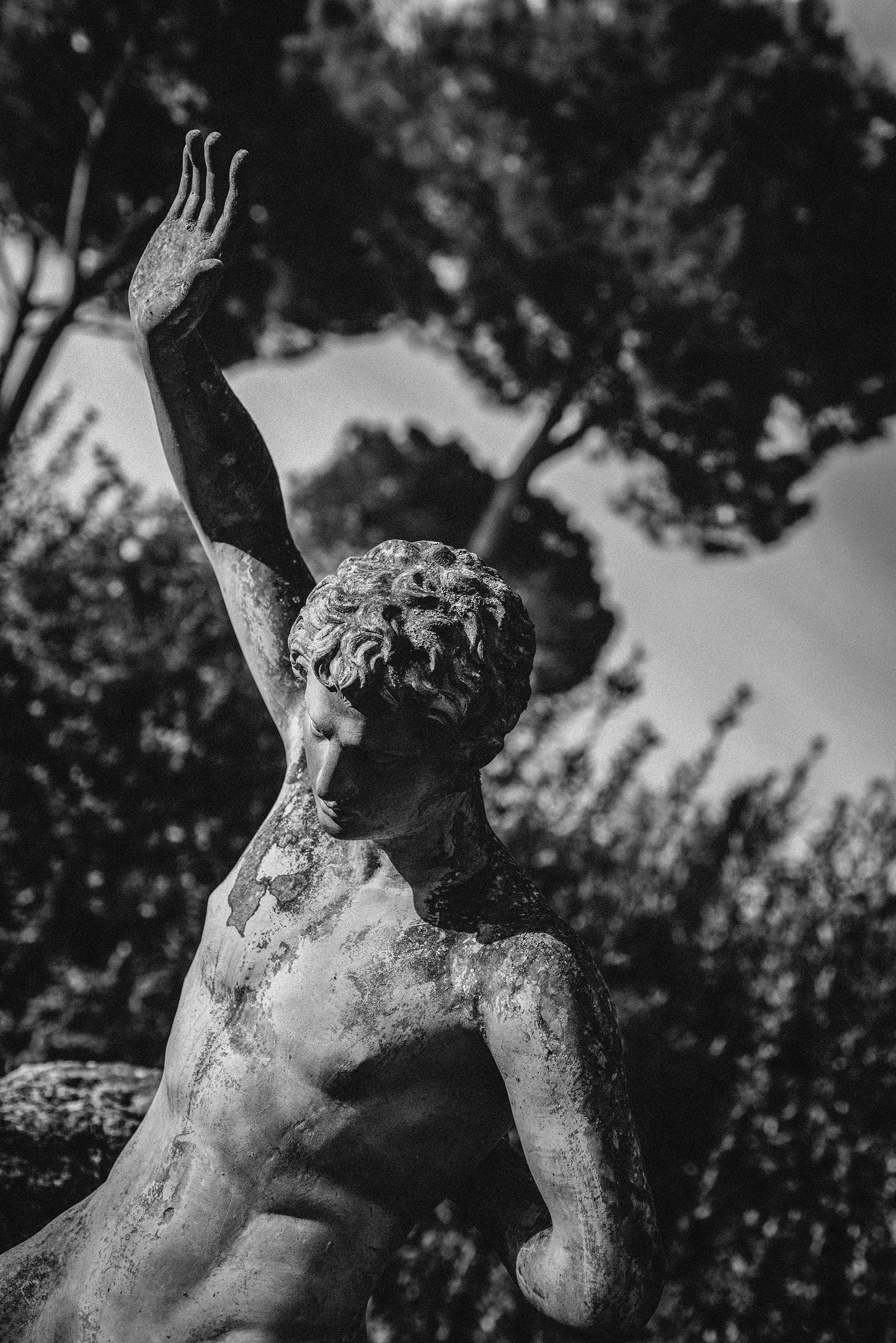 JULIEN DRACH NIOBIDES B&W