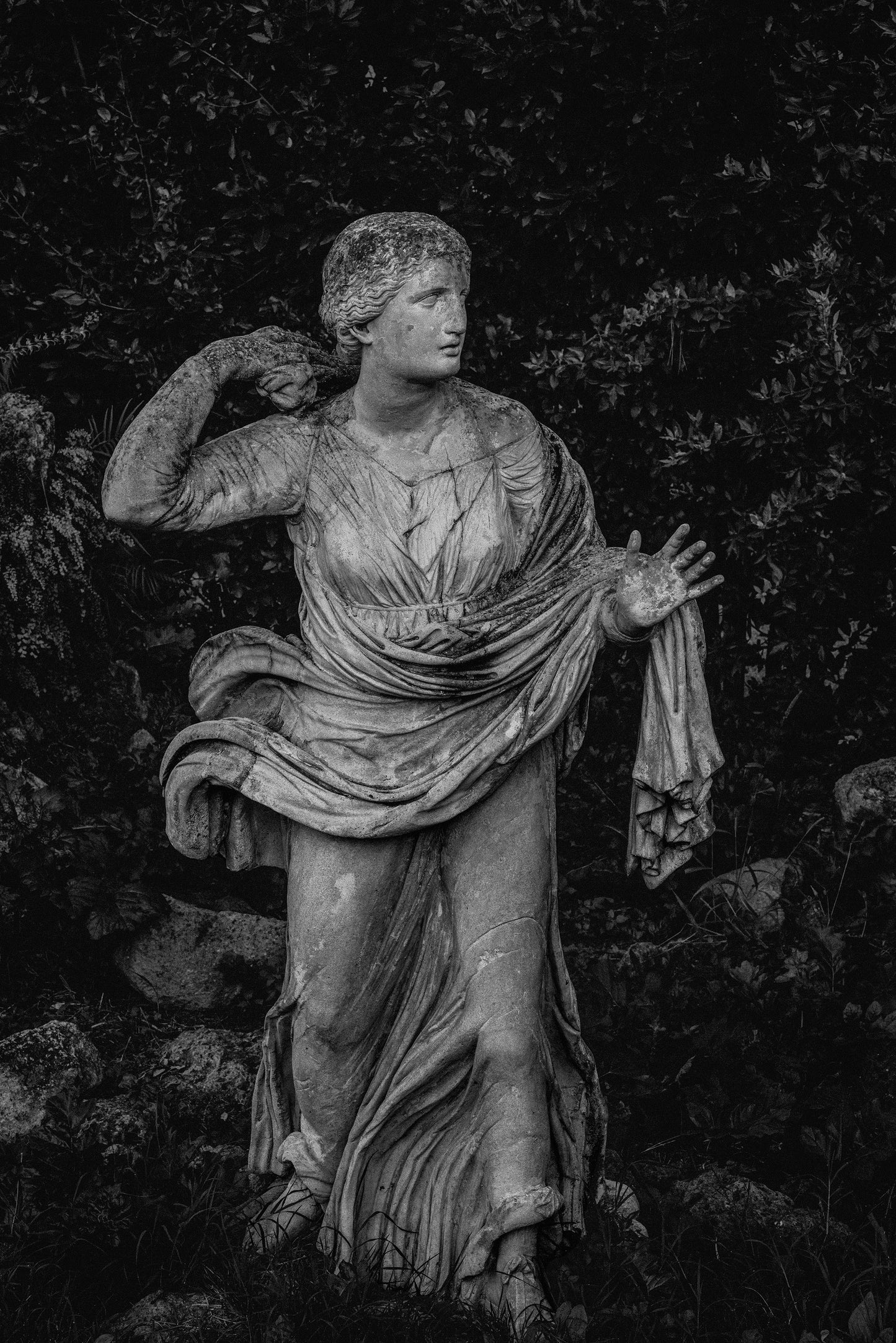 JULIEN DRACH NIOBIDES B&W