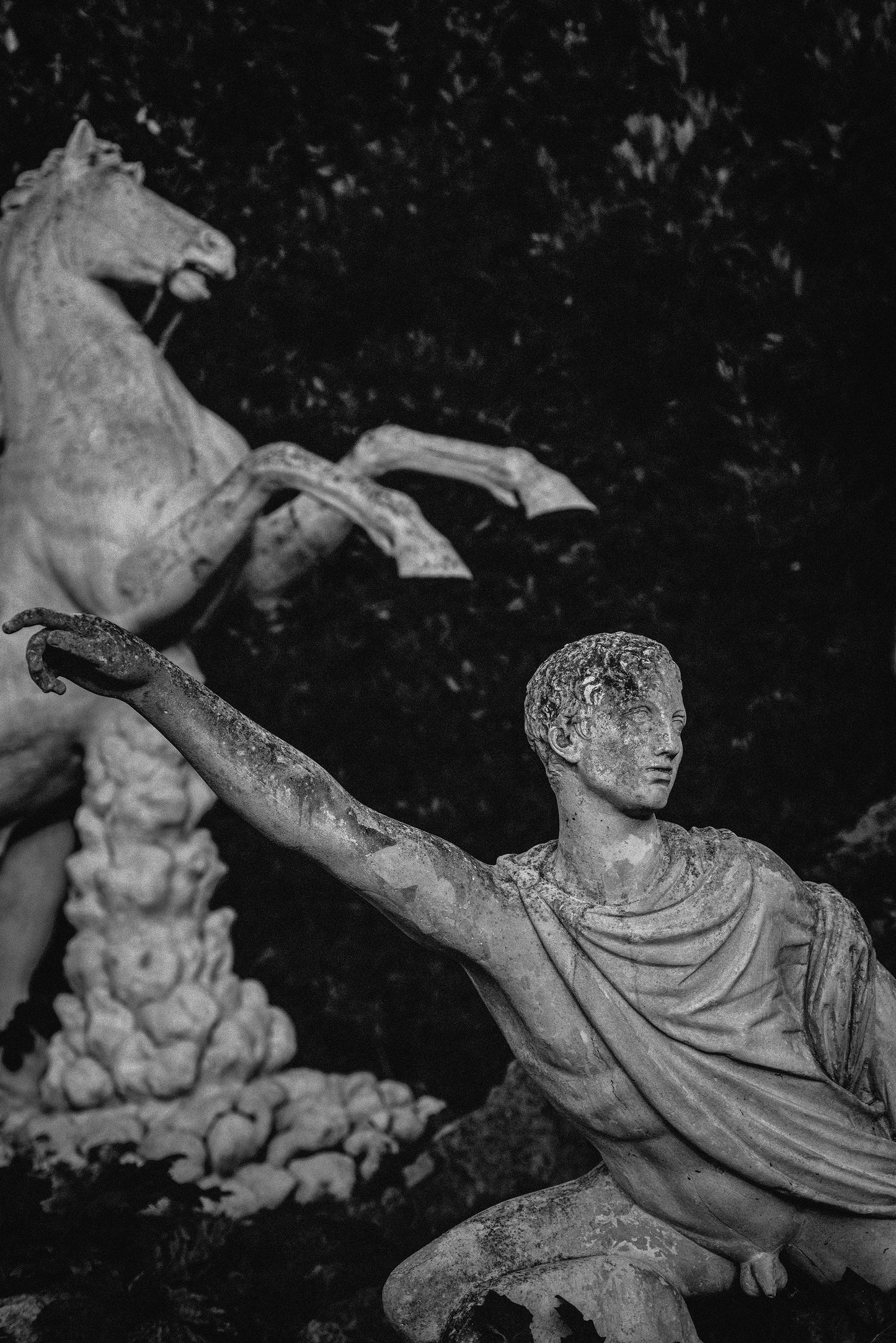 JULIEN DRACH NIOBIDES B&W