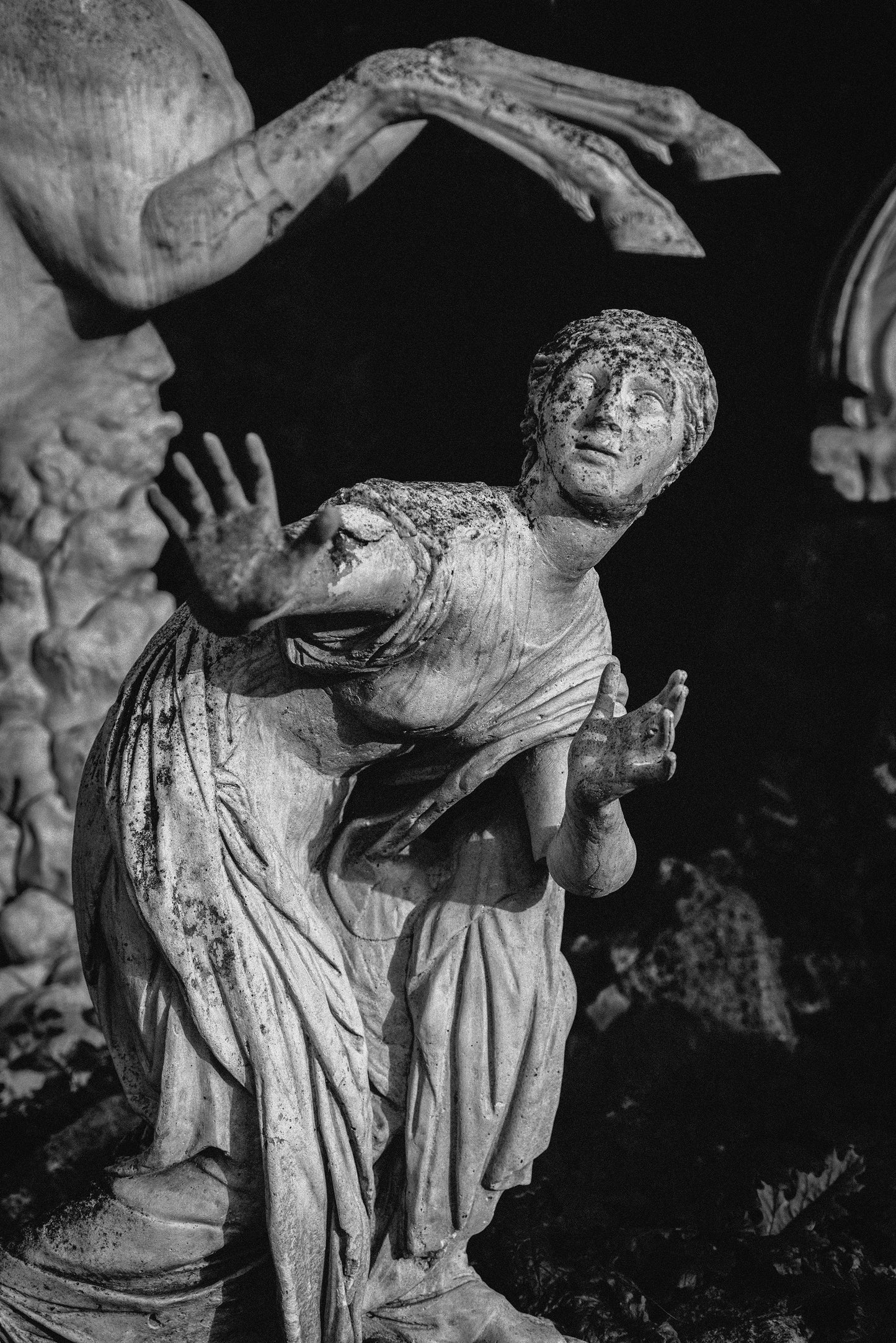 JULIEN DRACH NIOBIDES B&W