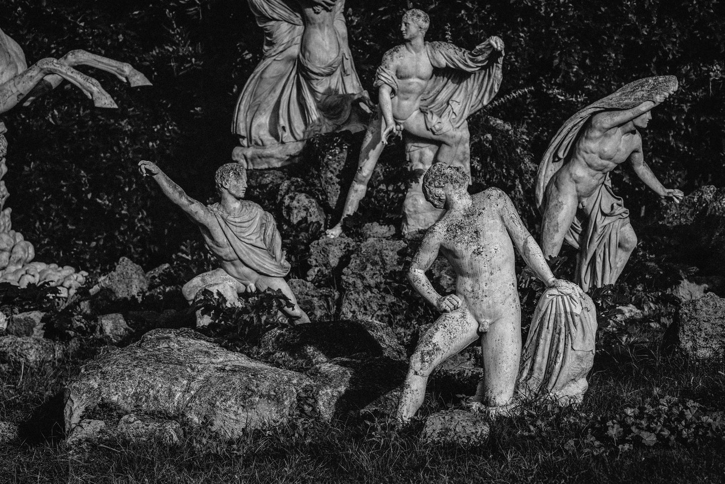 JULIEN DRACH NIOBIDES B&W