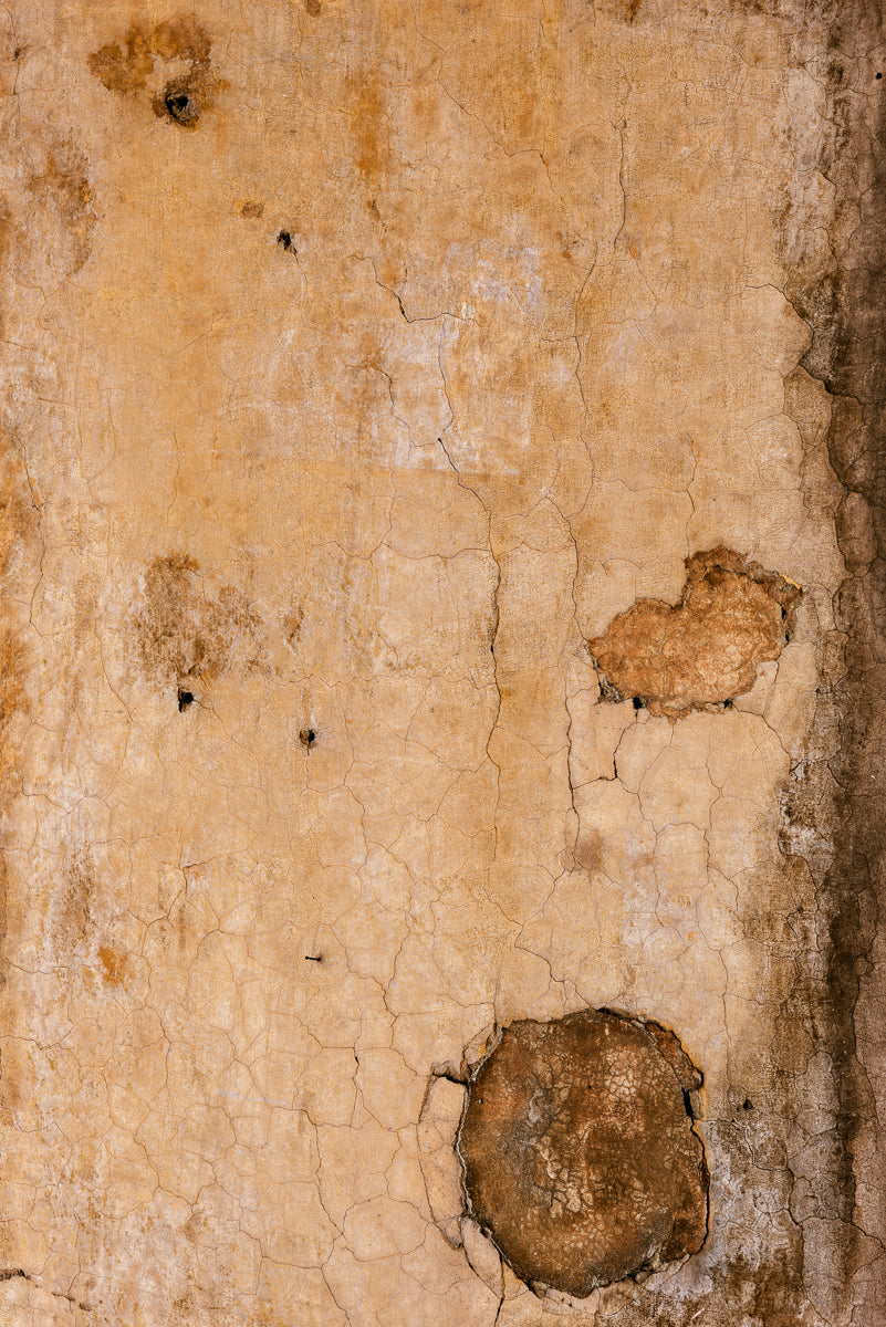 IN-VISIBLE ROME 7