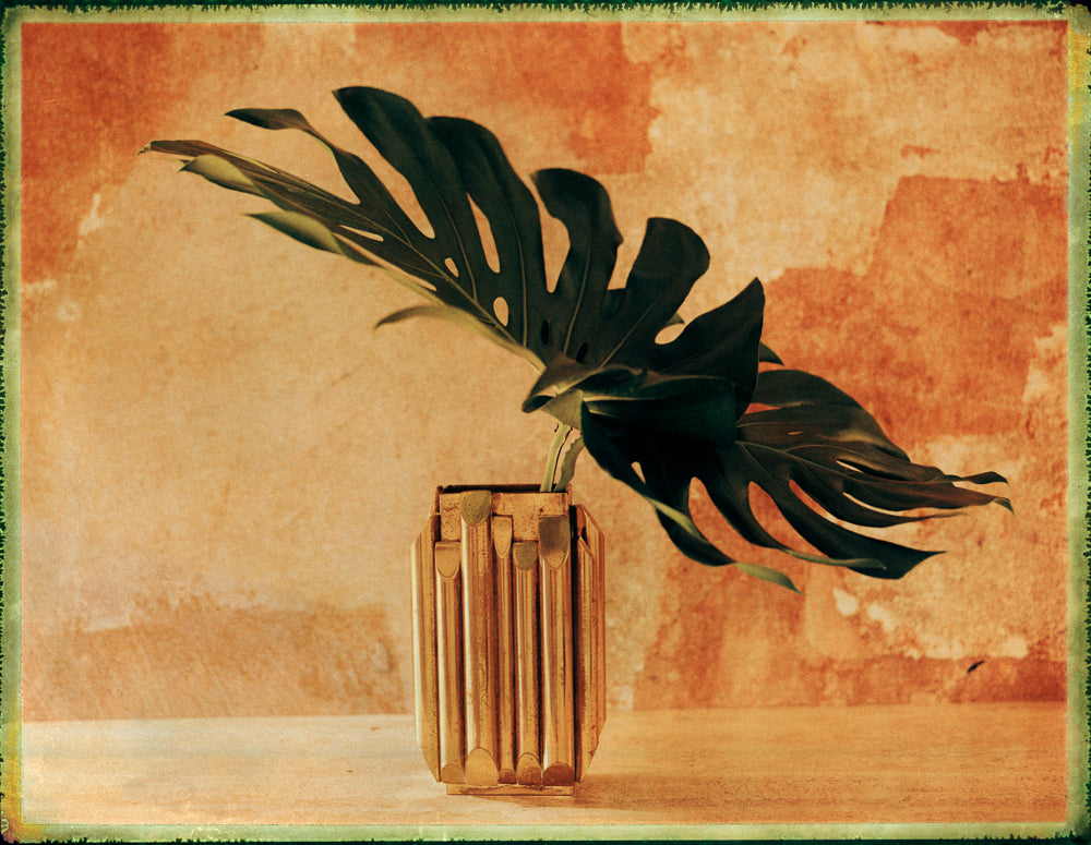 STILL LIFE POLAROID
