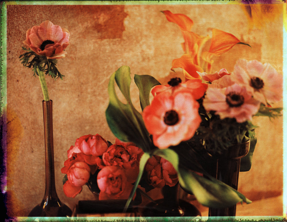 STILL LIFE POLAROID