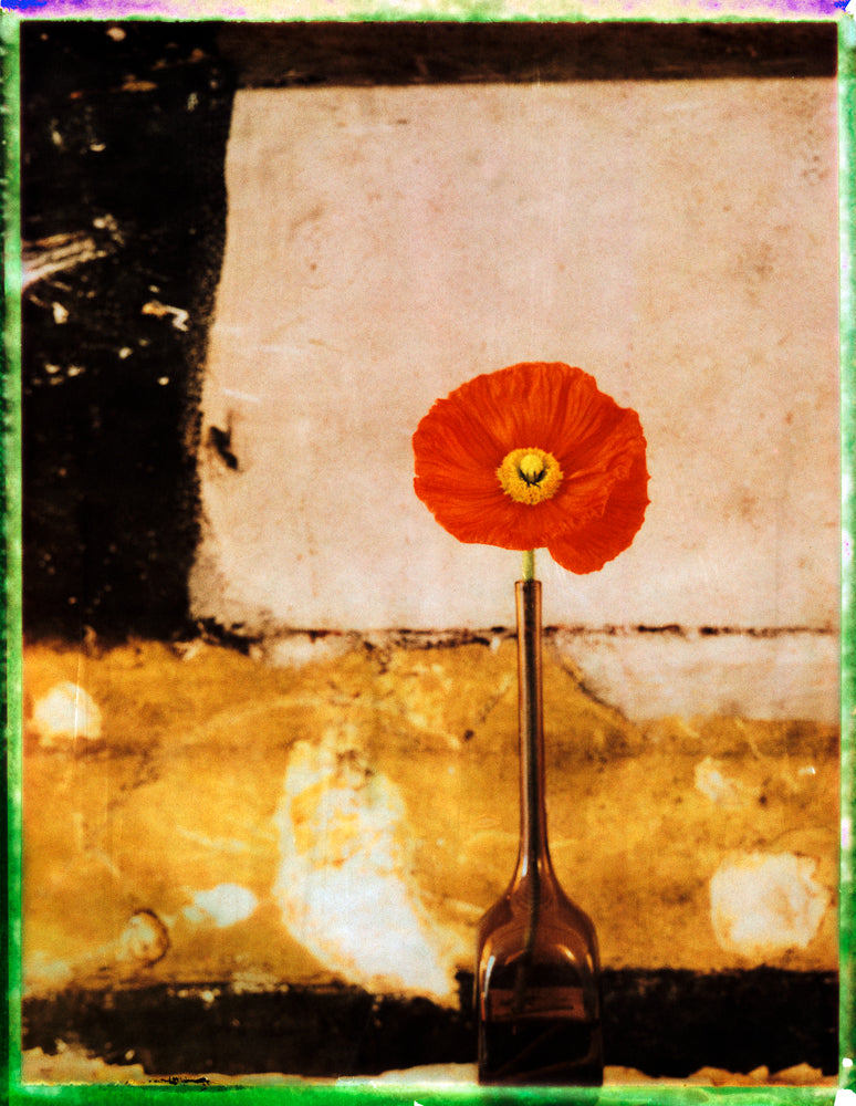 STILL LIFE POLAROID