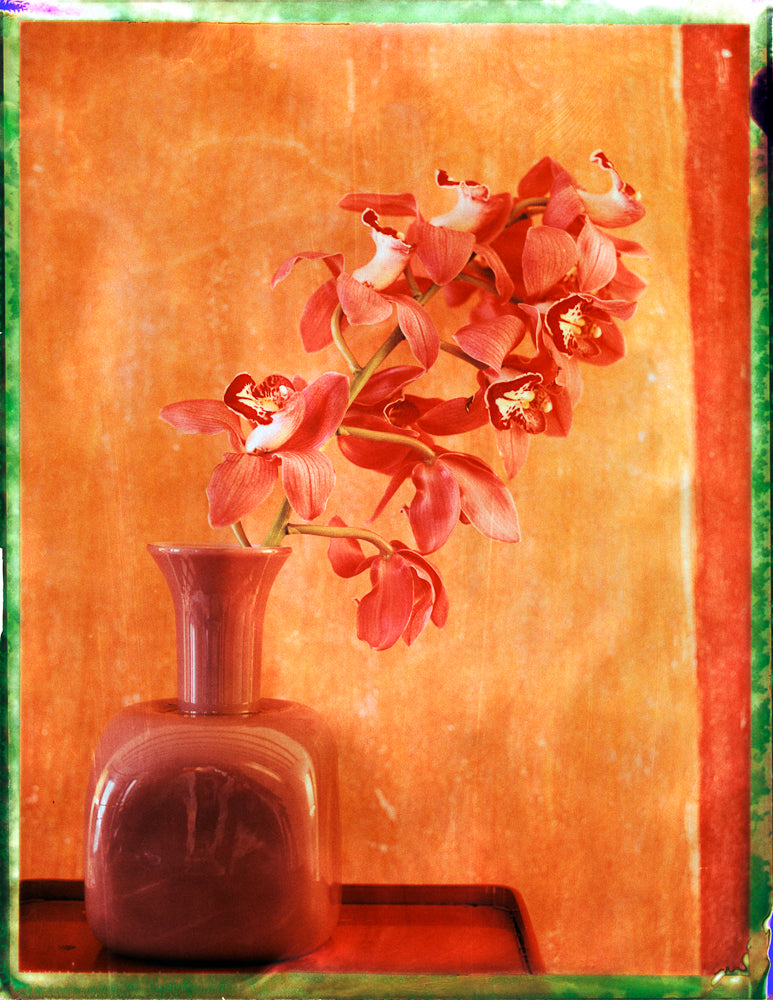 STILL LIFE POLAROID