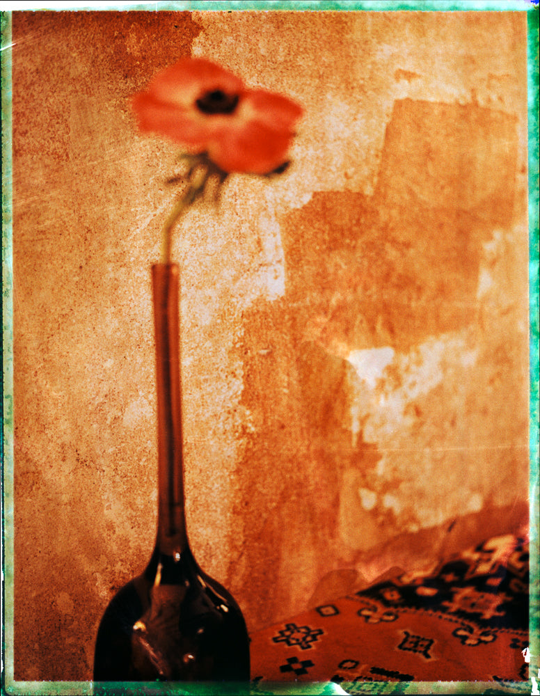 STILL LIFE POLAROID