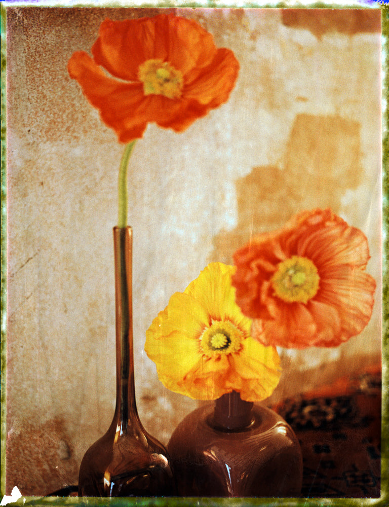 STILL LIFE POLAROID