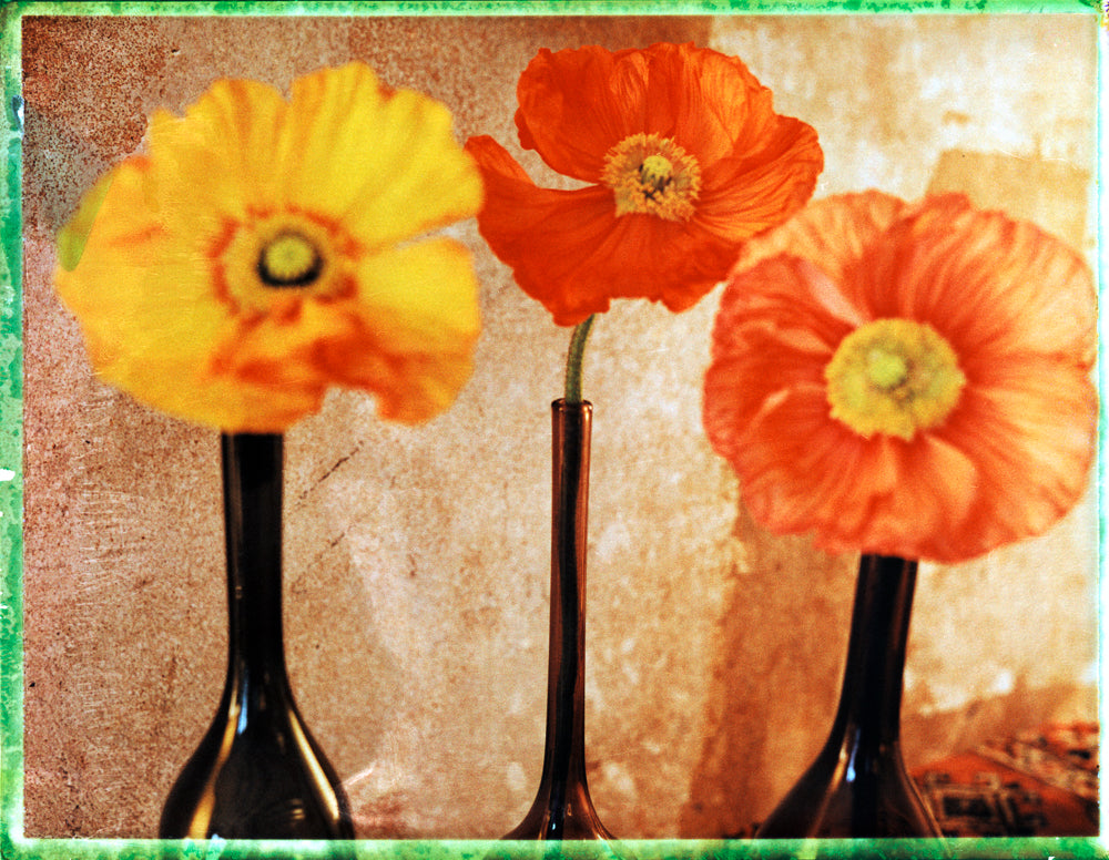 STILL LIFE POLAROID
