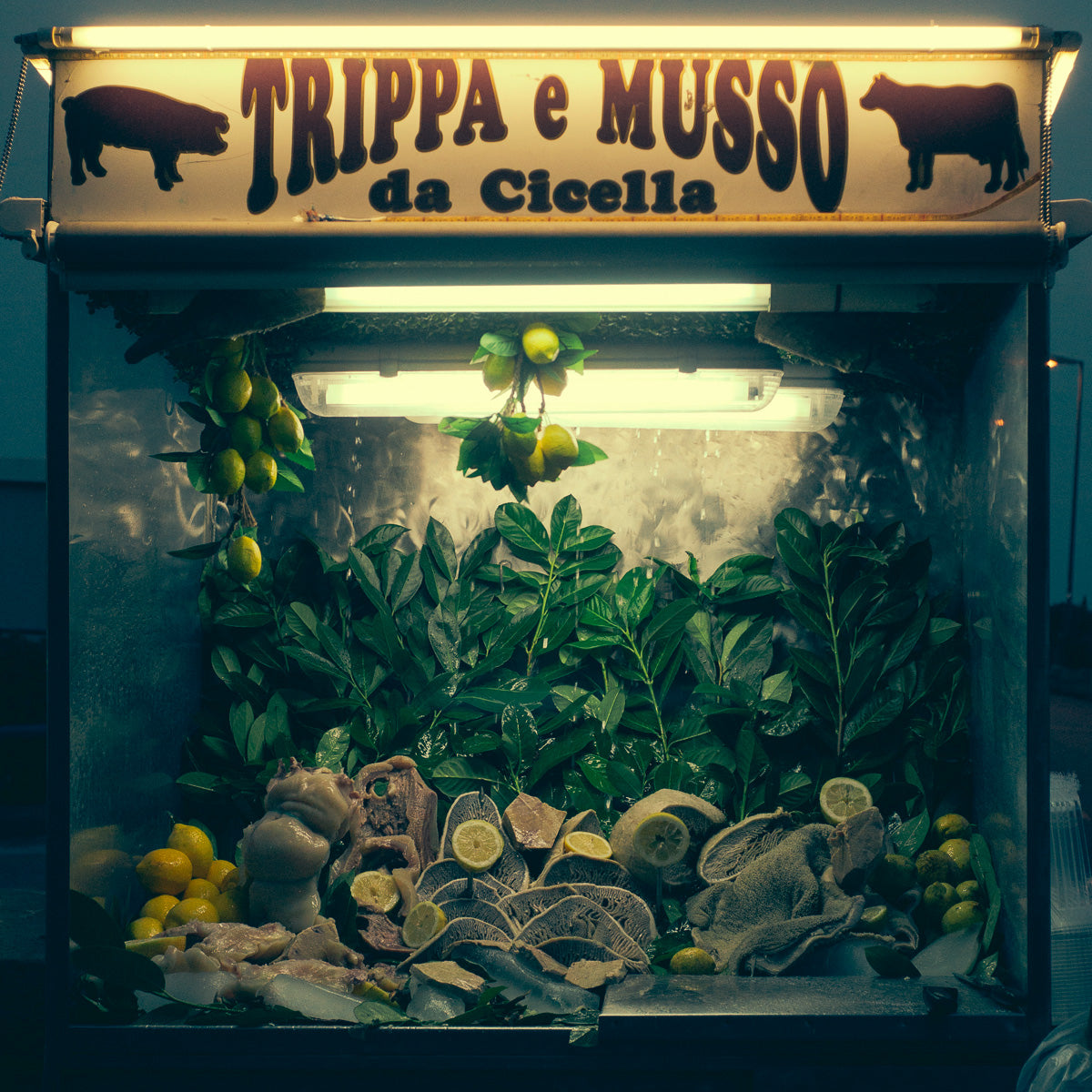 NAPOLI 27