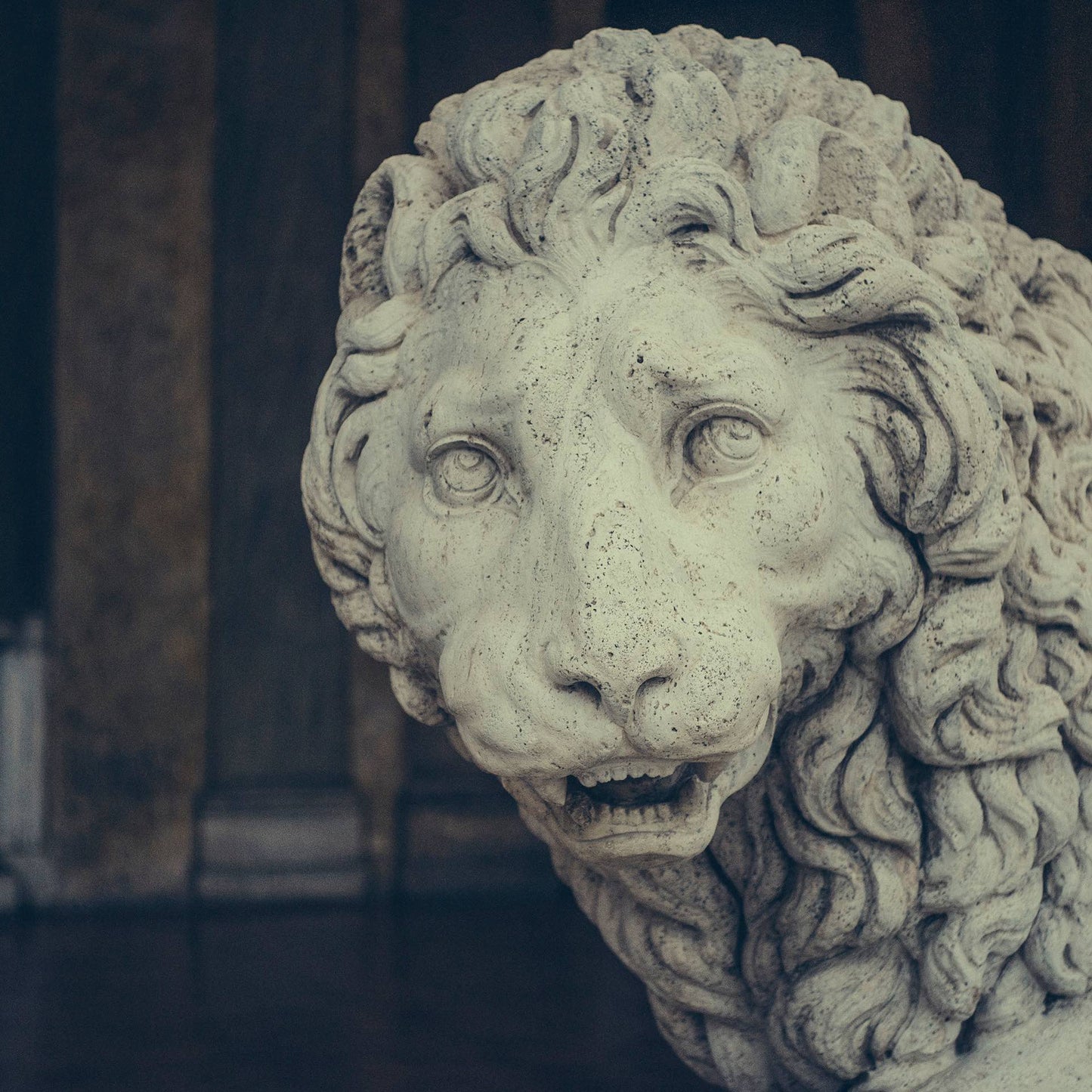 ROMA 28