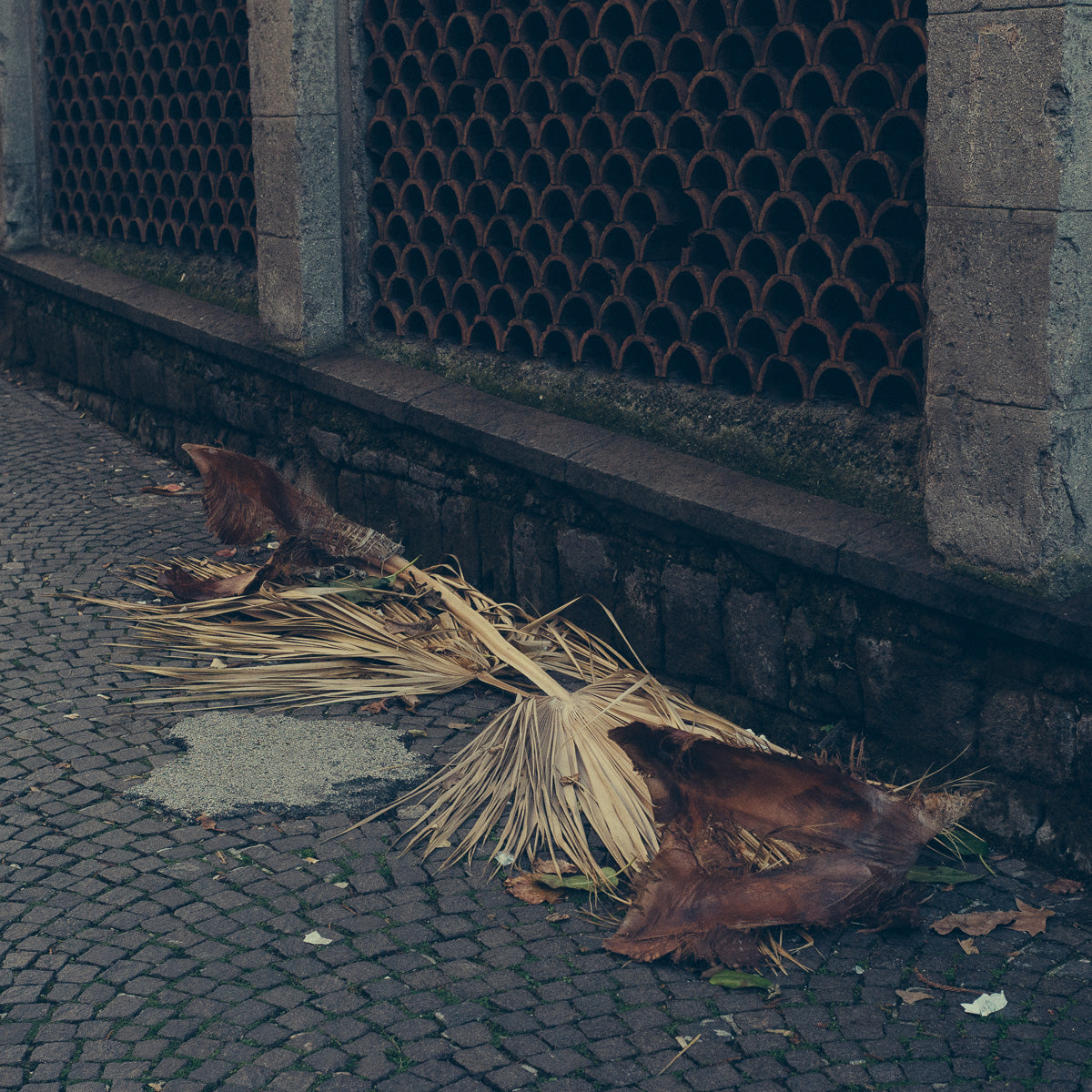NAPOLI 15