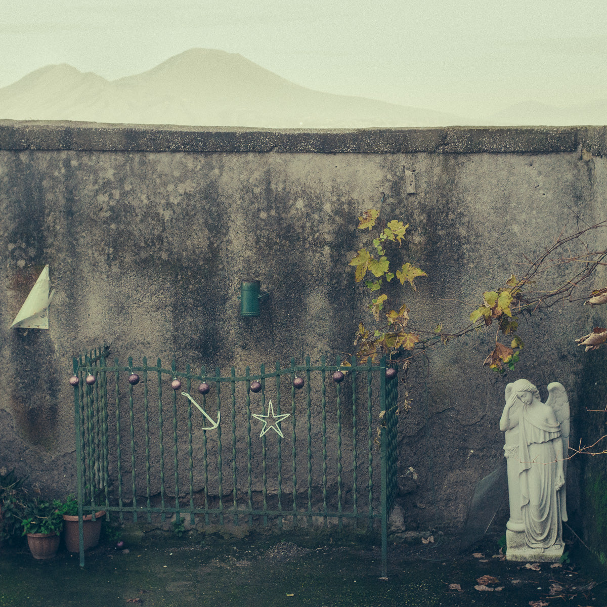 NAPOLI 14