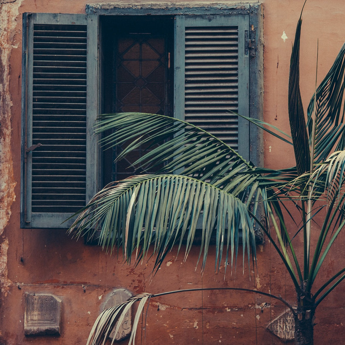 ROMA 42