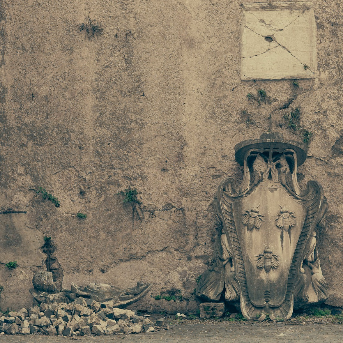 ROMA 33