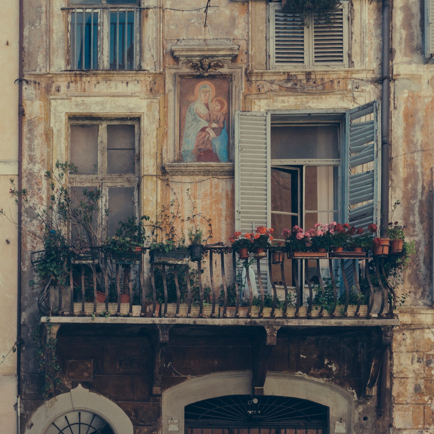 ROMA 19