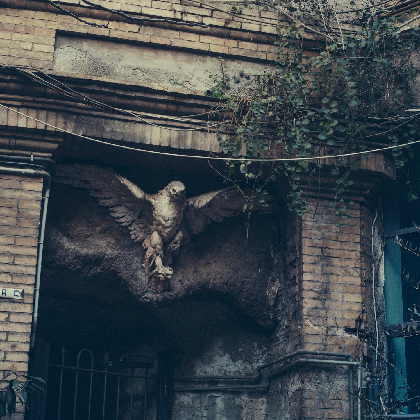 ROMA 16