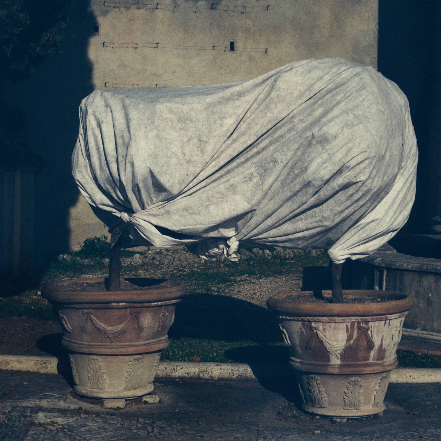 ROMA 8