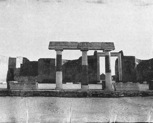 Roots of Heaven Pompei 3