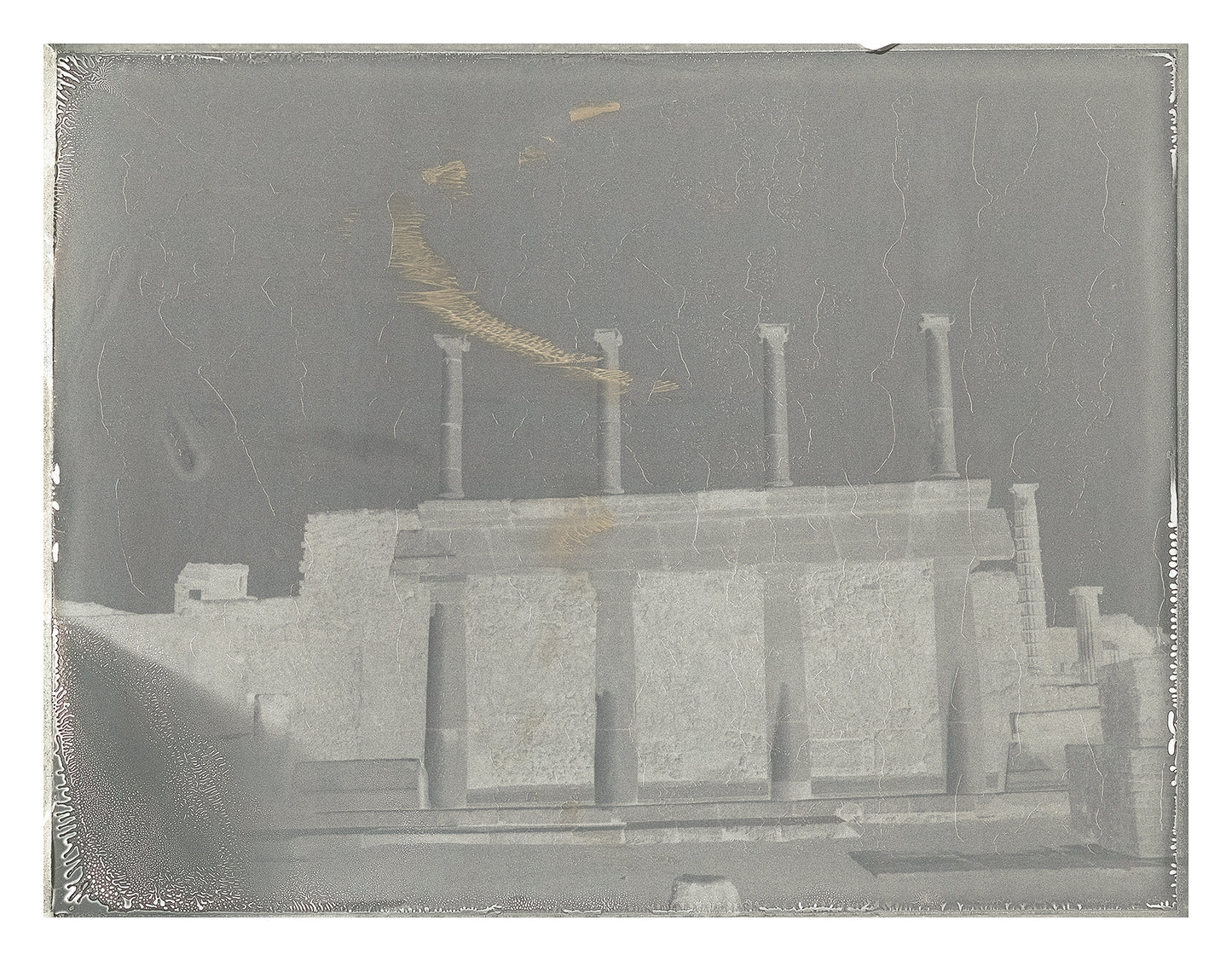 Roots of Heaven Negatif polaroid 1