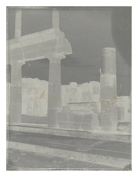 Roots of Heaven Negatif polaroid 2