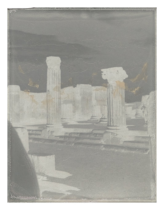 Roots of Heaven Negatif polaroid 3