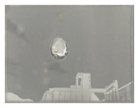 Roots of Heaven Negatif polaroid 7