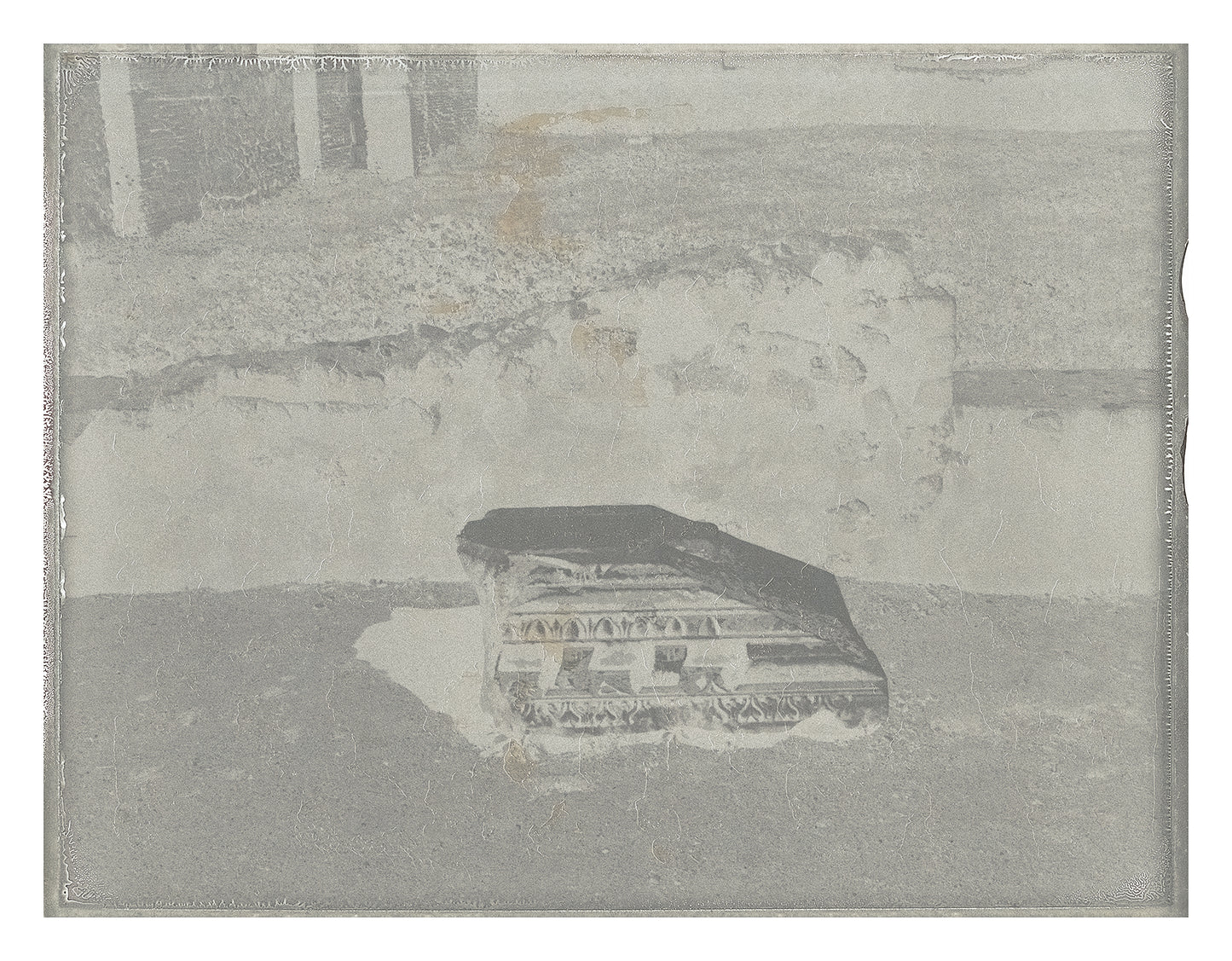 Roots of Heaven Negatif polaroid 8