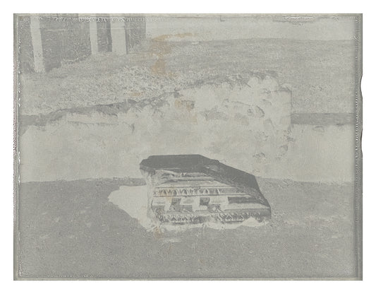 Roots of Heaven Negatif polaroid 8