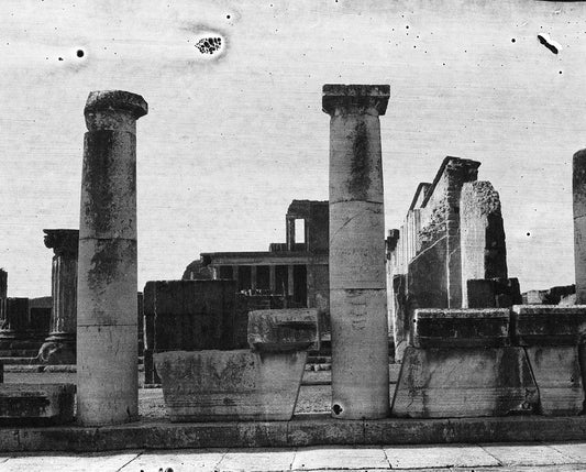 Roots of Heaven Pompei 4